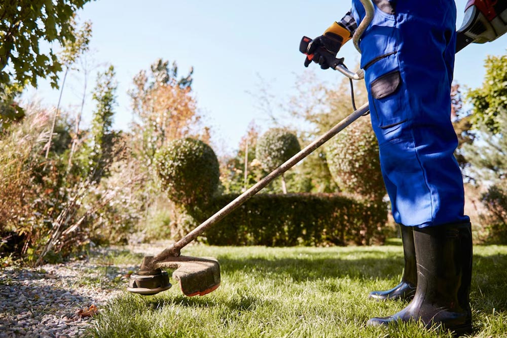 An-Ultimate-Guide-to-Landscape-Maintenance-in-Dubai