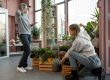 Indoor-vs-Outdoor-Plants