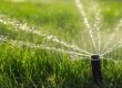 The-Importance-of-Irrigation-Systems-for-Dubai-Dry-Climate
