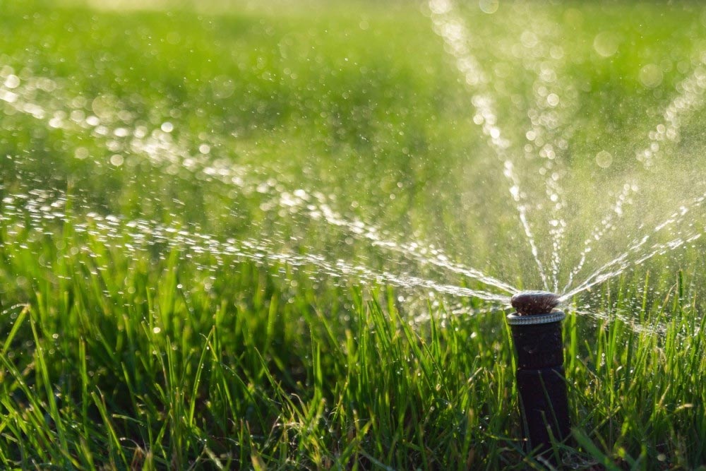 The-Importance-of-Irrigation-Systems-for-Dubai-Dry-Climate
