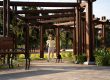 Pergola-Vs-Patio-Cover