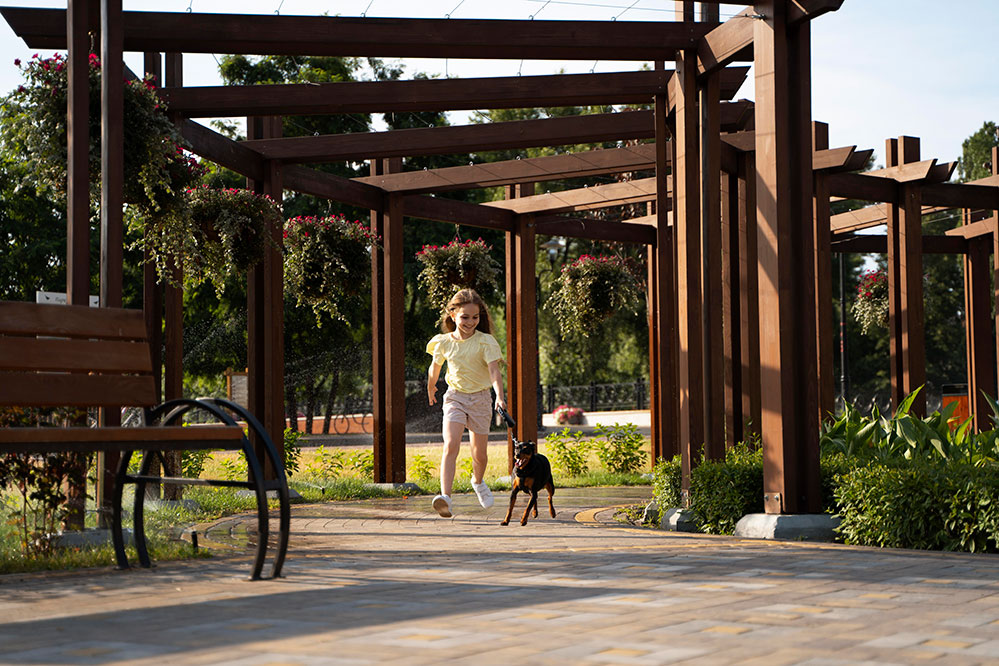 Pergola-Vs-Patio-Cover