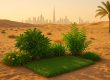 Steps-for-Growing-a-Lush-Green-Garden-in-Dubais-Desert-Climate