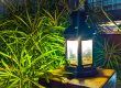 Best Garden Lighting Ideas