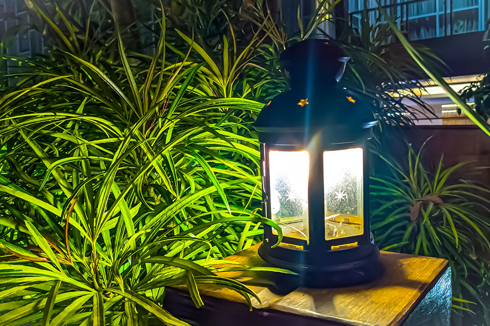 Best Garden Lighting Ideas