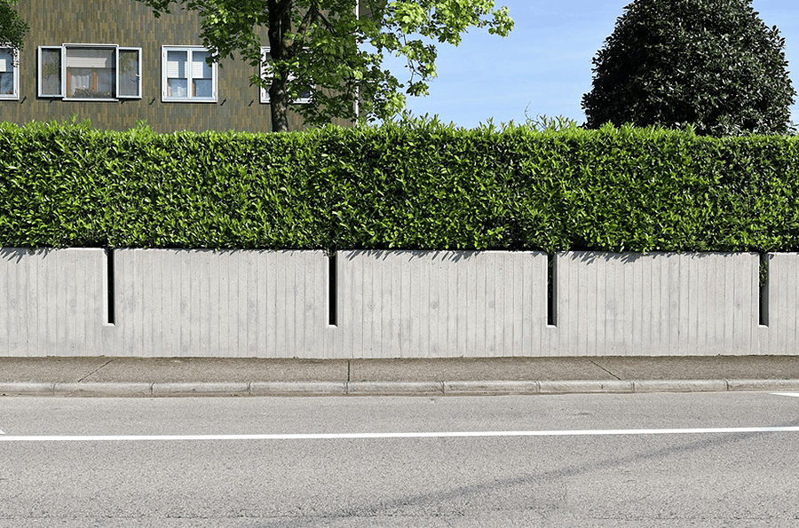 cover fences with greenery