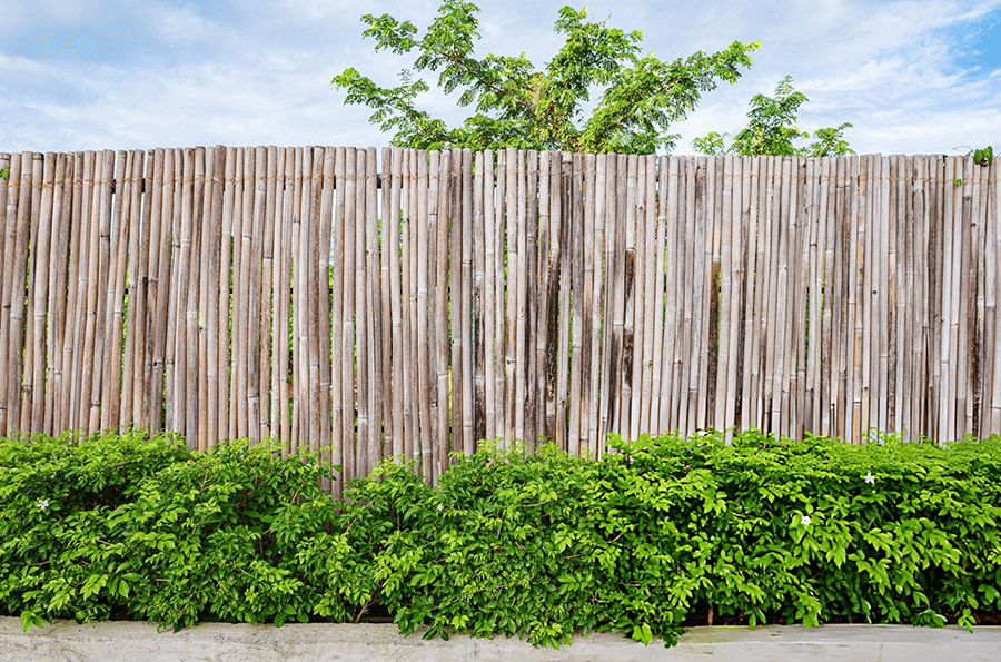 bamboo barriers in dubai