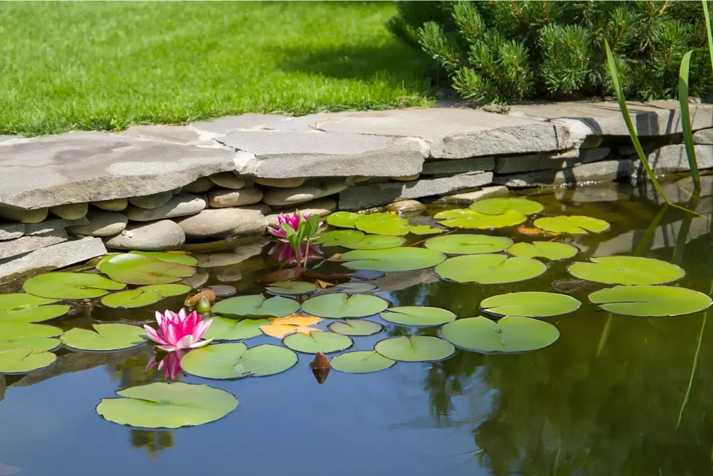 10 Stunning Low-Water Landscaping Ideas Perfect for UAE Homes